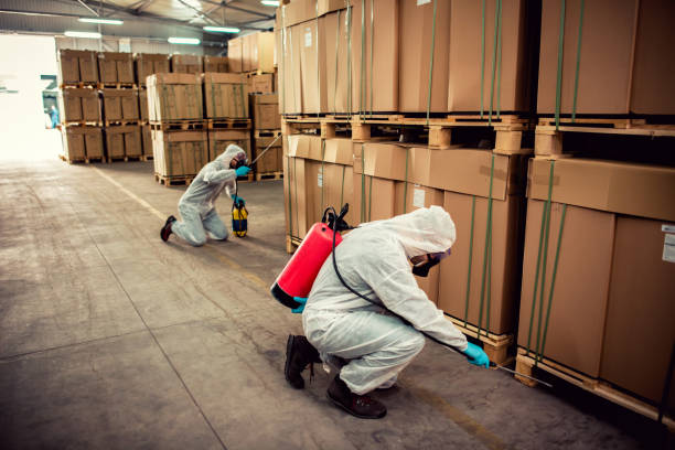 Professional Pest Control in Uintah, UT