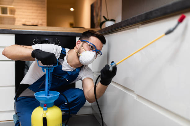 Best Pest Inspection Near Me  in Uintah, UT