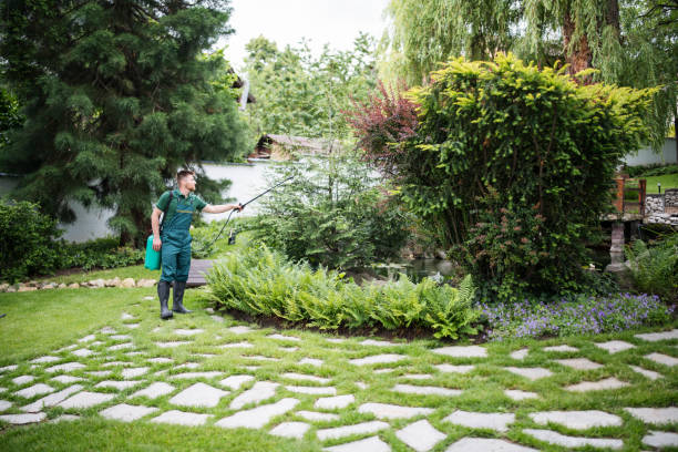 Best Residential Pest Control  in Uintah, UT