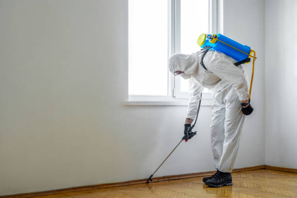 Best Exterminator Services  in Uintah, UT