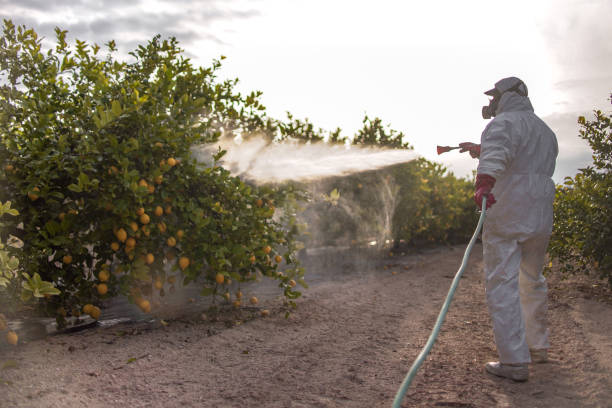 Best Best Pest Control Companies  in Uintah, UT