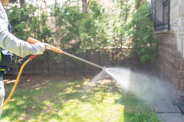 Best Affordable Pest Control Services  in Uintah, UT