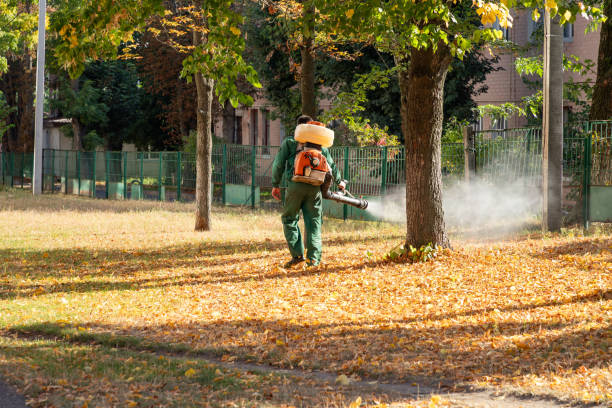 Best Affordable Pest Control Services  in Uintah, UT