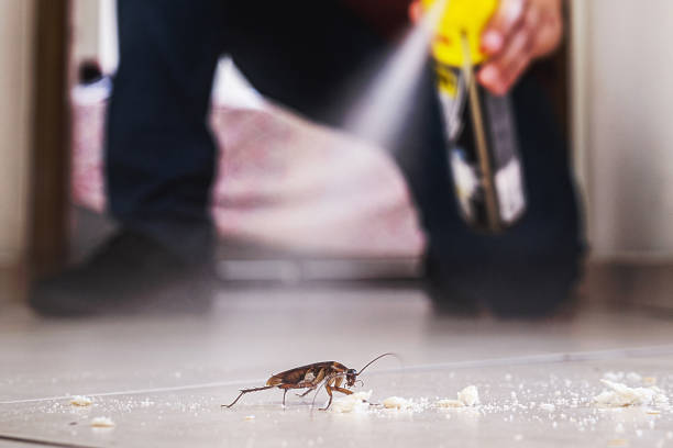 Best Pest Prevention Services  in Uintah, UT