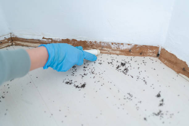 Best Pest Removal Services  in Uintah, UT